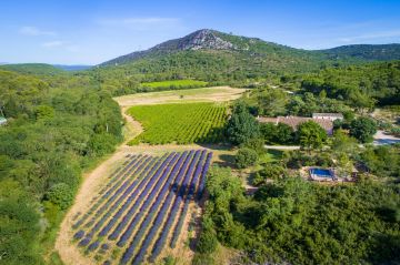 La piscine, photographiée au drone, apparaît comme un élément qui s'inclue avec modestie et humilité dans un environnement séculaire de toute beauté.