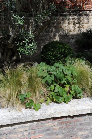 La réussite de cette réalisation repose en grande partie sur le savant équilibre entre le minéral, le végétal et l'apport incontestable de la présence de l'eau à travers la piscine.