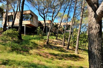 Une maison en bois sur pilotis qui côtoie les arbres
