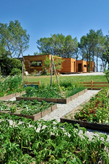 Le vert éblouissant du potager !
