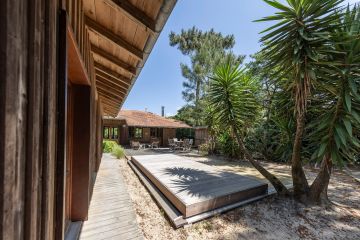 Piscine sans autorisation Cap Ferret avec Rolling-Deck et yuccas - Piscinelle design