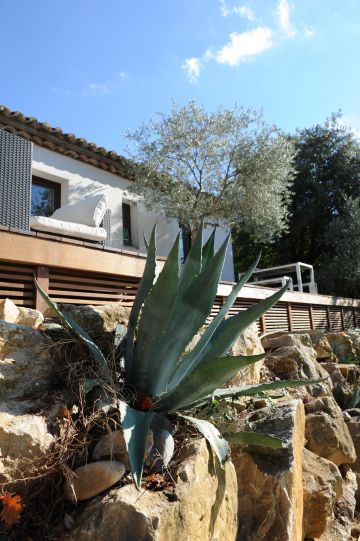 La végétation provençale, plantes grasses et autres cactus s'accroche à l'enrochement naturel au dessus de la piscine.