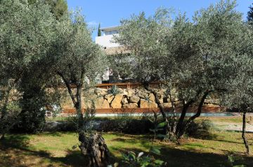 Les oliviers à côté de la piscine s'épanouissent et rendent le bassin discret depuis le jardin.