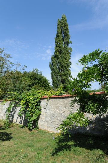 La propriété est clos de murs traditionnels et les peupliers se dressent au loin donnant un côté bucolique à la scène.