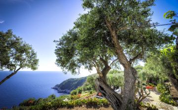 La maisons Zoe Paxos est située dans l'Île de Paxos en Grèce, au large de l’Épire dans la mer Ionienne. 