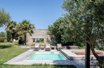 Olivier, palmier et un maison traditionnelle jouxtent la Piscinelle et son Rolling-Deck.