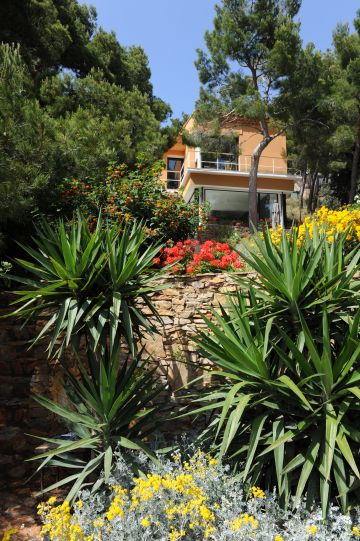 Une maison entourée de verdure