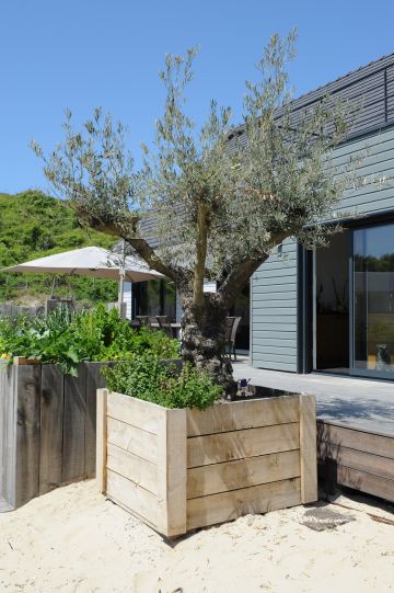 An olive tree subtly echoes the silvery grey shades of this build.