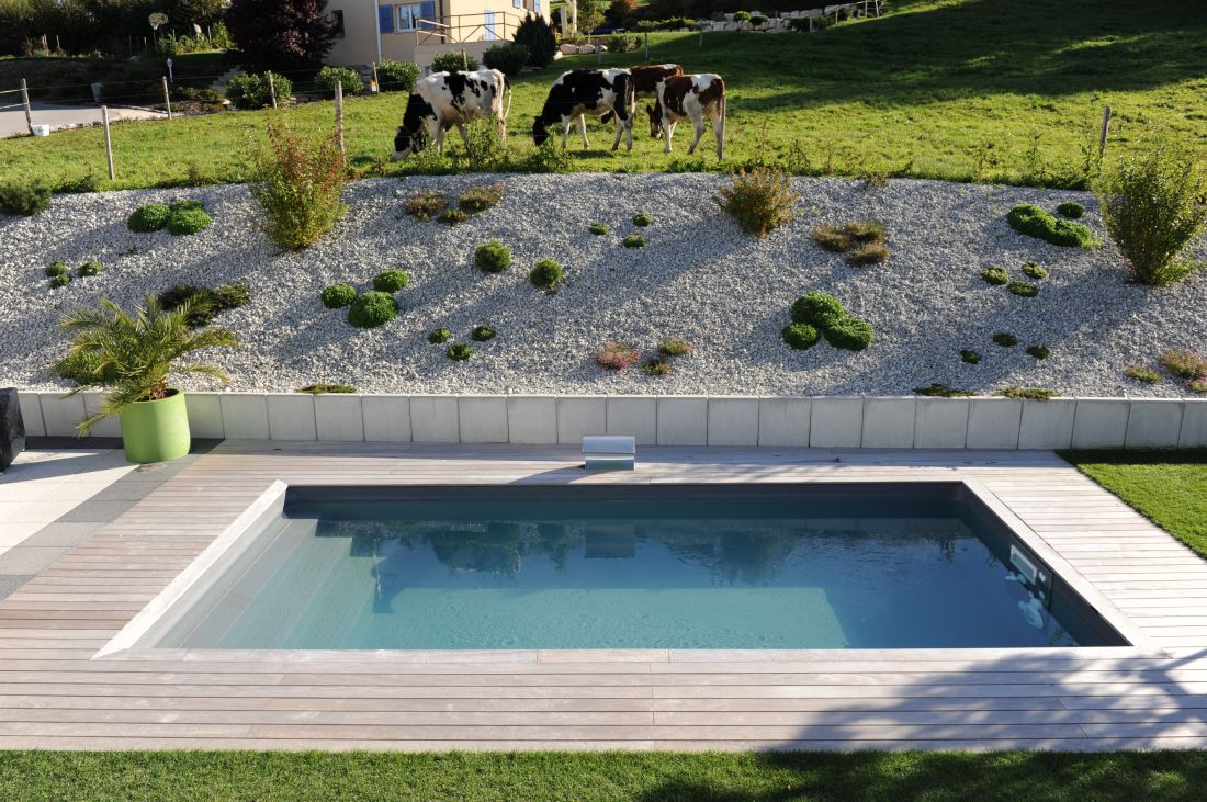 Quelques vaches qui paissent, le plan d'eau au repos et la lame d'eau qui en toute discrétion apporte un subtil design à la piscine.