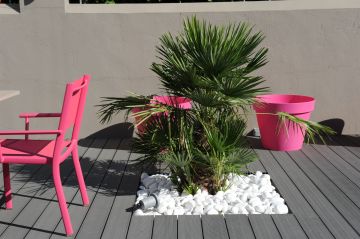 Les touches déco comme le palmier et le mobilier rose fuchsia au bord de la piscine terminent parfaitement l'ensemble.
