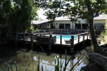 Les canards se baladent autour de la piscine